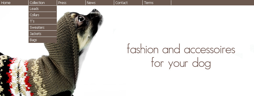 dogs_02.jpg