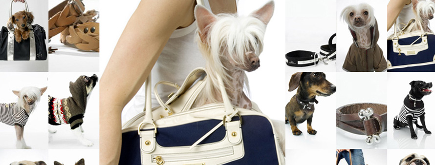 dogs_05.jpg